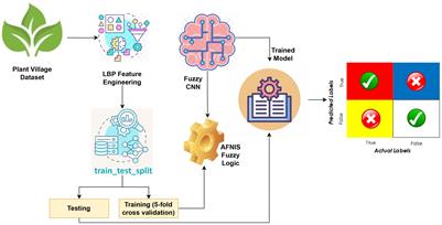 ANFIS Fuzzy convolutional neural network model for leaf disease detection